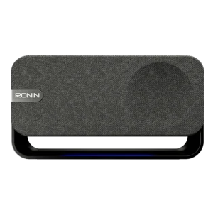 Reverb Speaker  R-3030