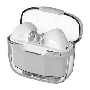 Snap Earbuds R-7070